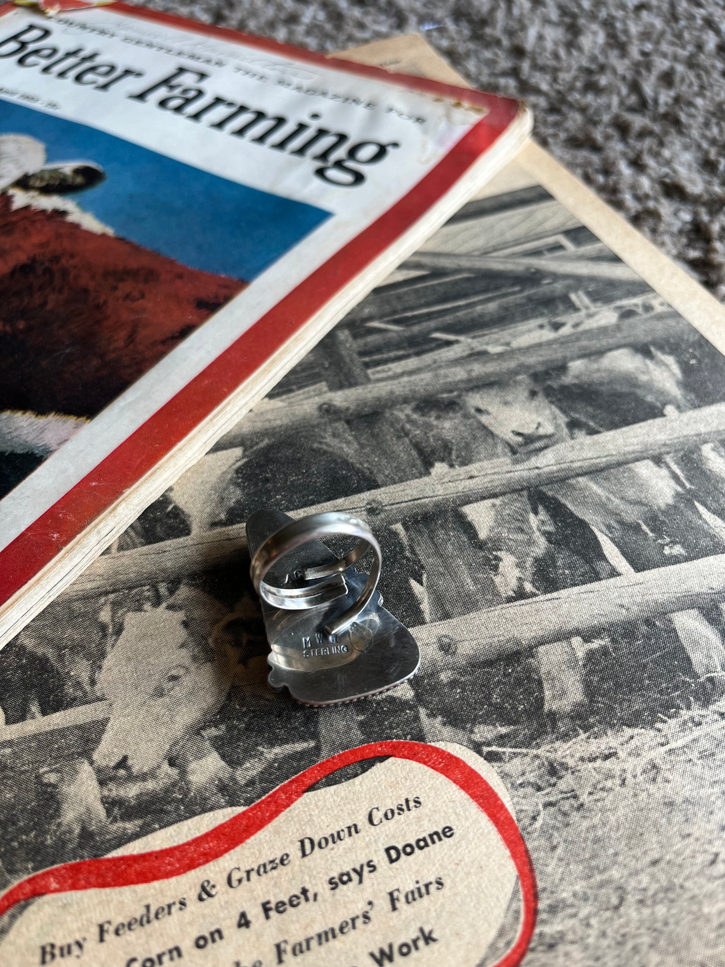 Wild Horse Adjustable Ring